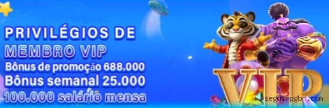Equipe de suporte ao cliente da Seguirpg